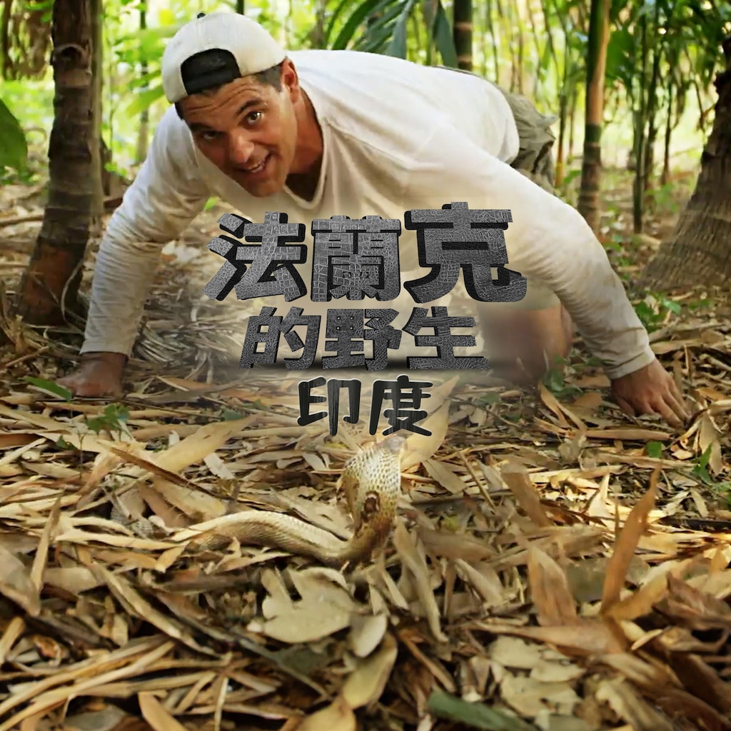 法蘭克的野生印度