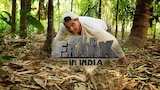 Wild Frank in India