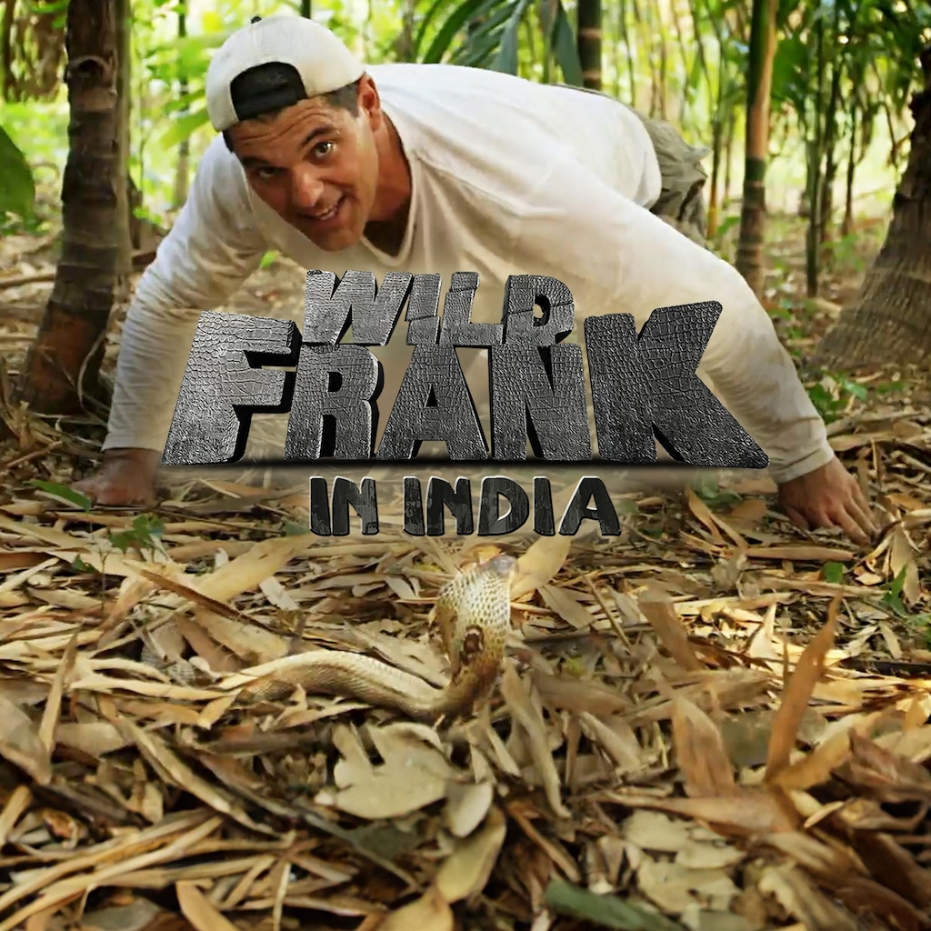 Wild Frank in India