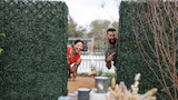 Scrubs vs. Shrubs