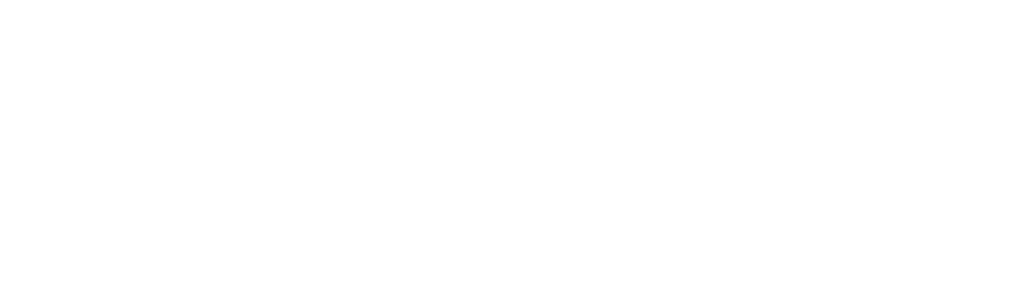 The Cabin Chronicles