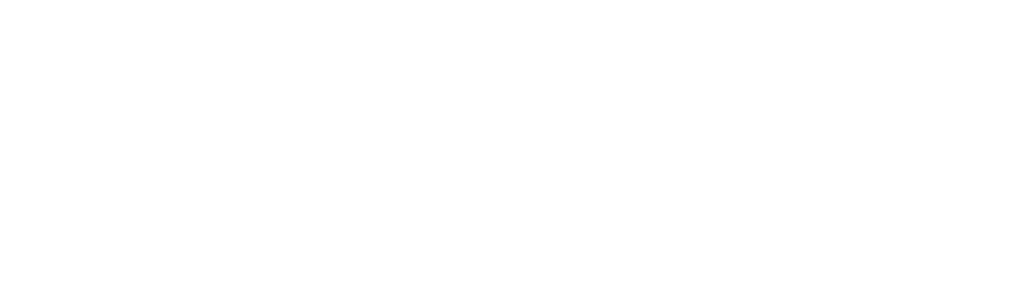 Flip the Strip