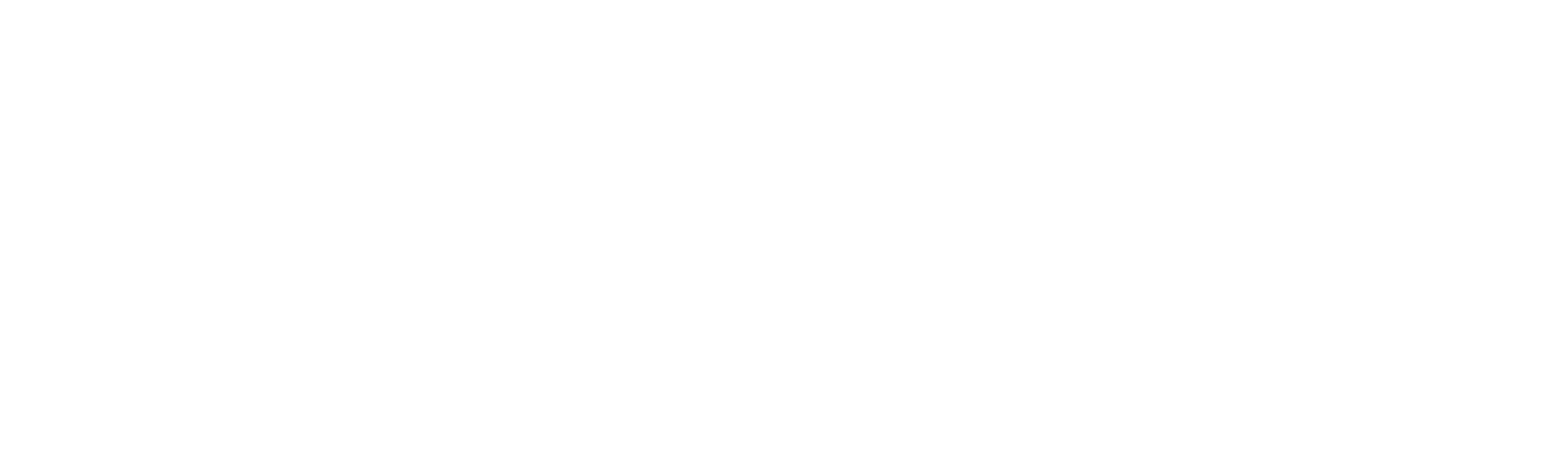 Flip the Strip