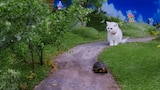 Tortoise and the Mittens