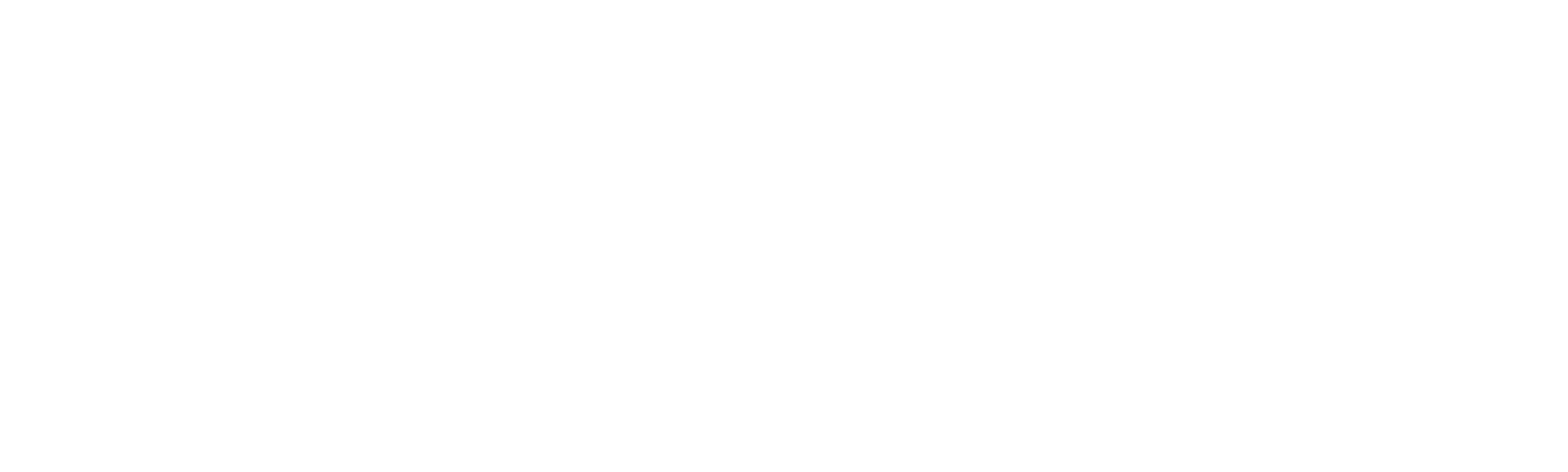 Chris Brown: Uma História de Violência