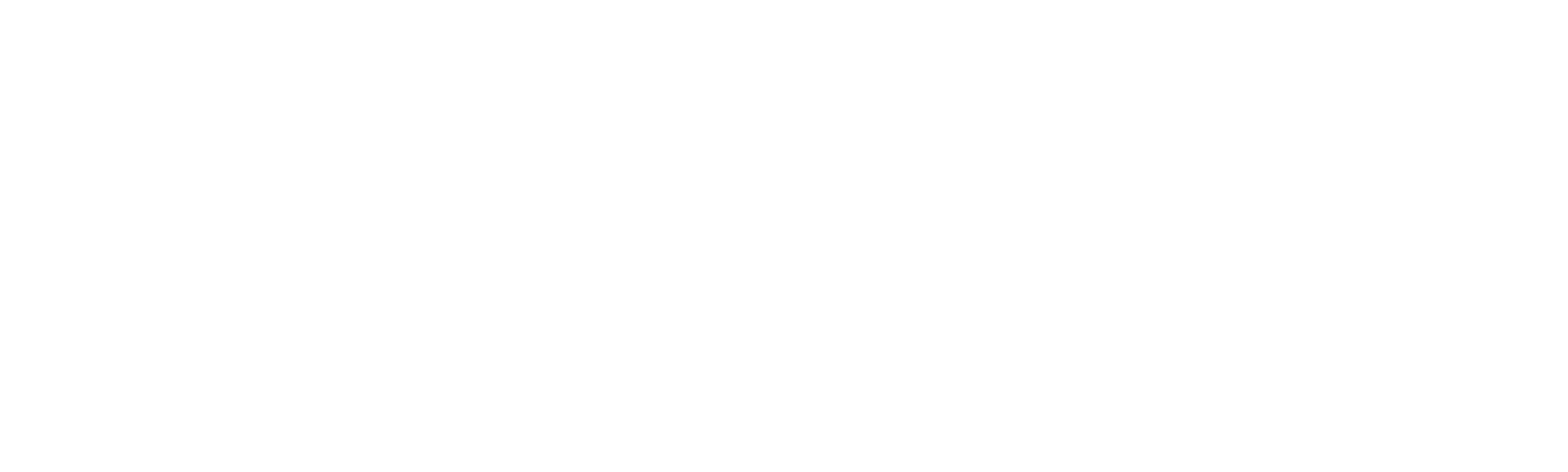 xXx 2: Estado de Emergencia