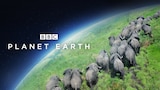 Watch planet earth 2 online free 123movies sale