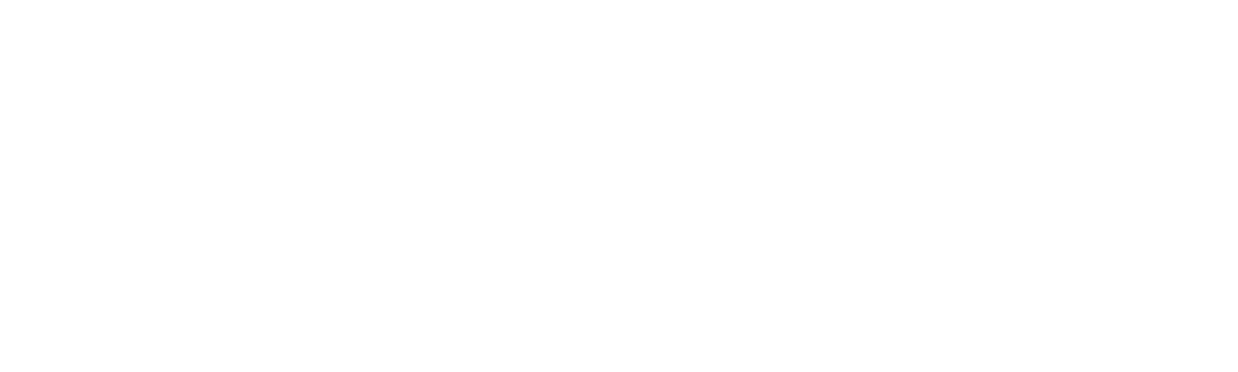 Sewer Divers