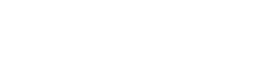 90 Day Journey: Jorge & Anfisa