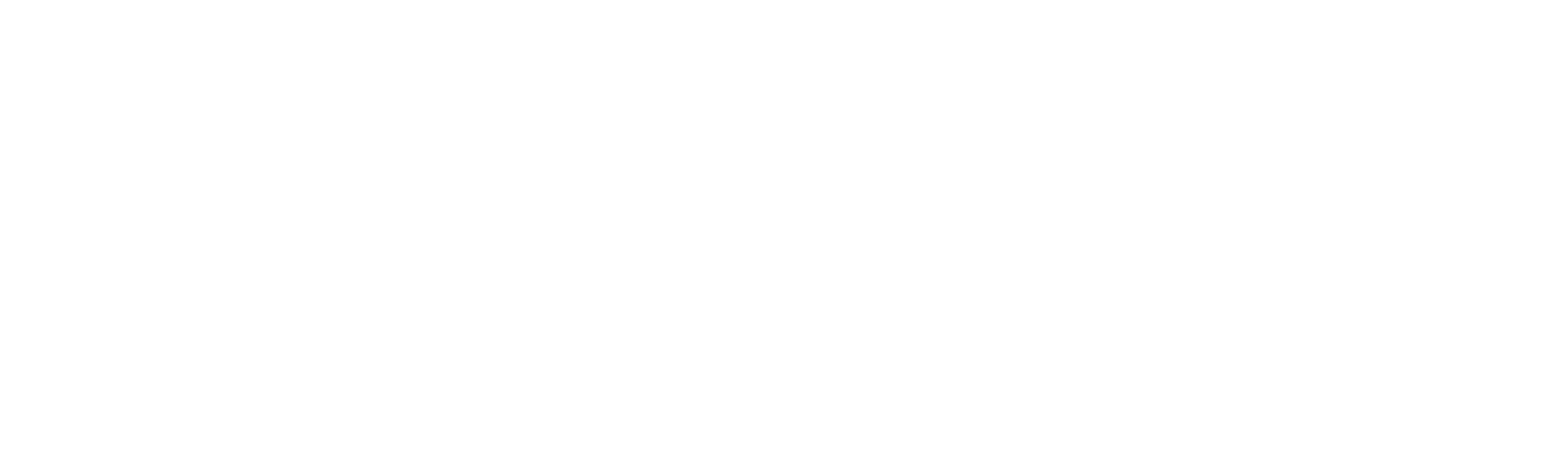 90 Day Journey: Jorge & Anfisa