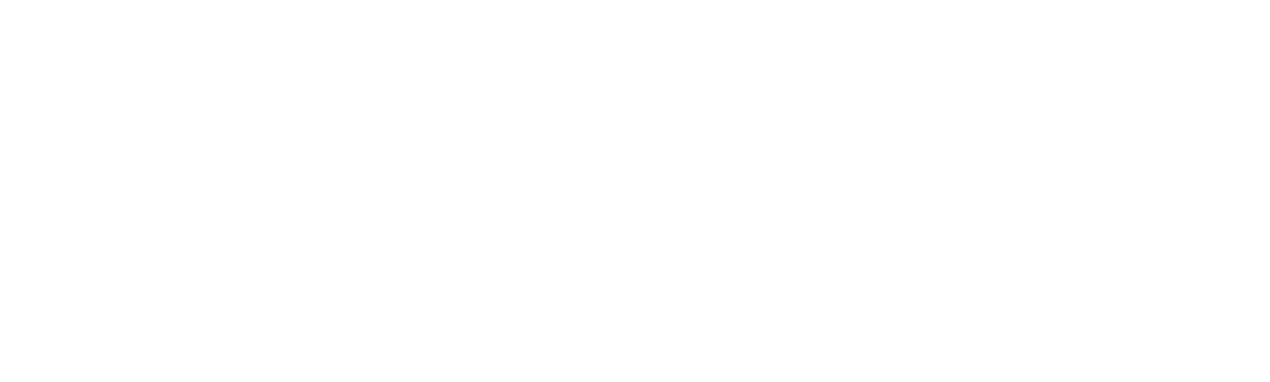 El show de Johnnyswim