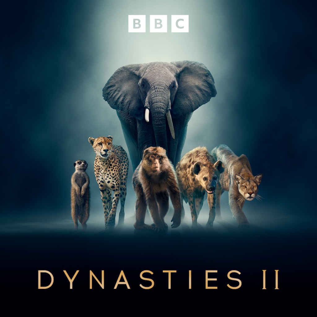 Dynasties