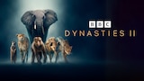 Dynasties