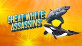 Great White Assassins