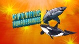 Criptonite dos trubarões brancos