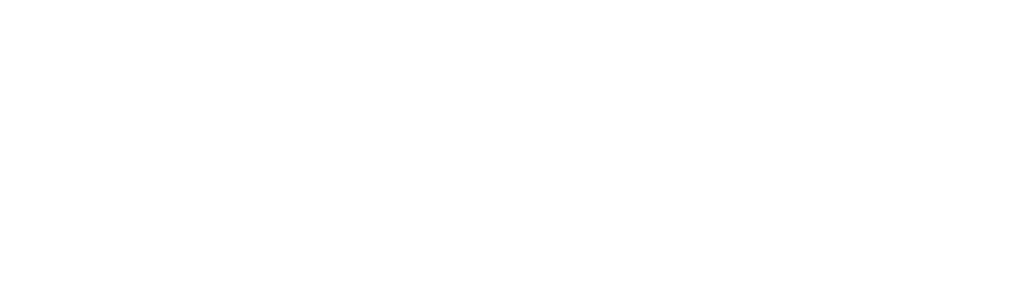 A Deep Dive into ANKARA