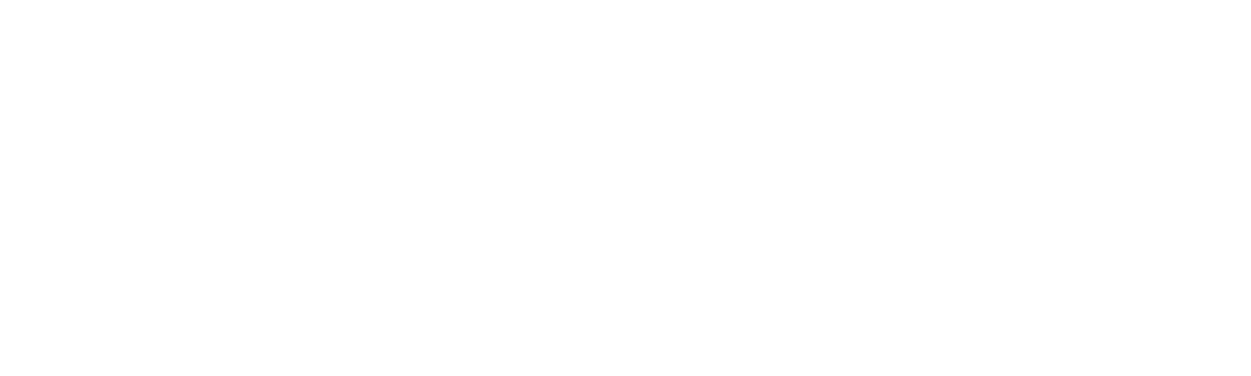 A Deep Dive into ANKARA