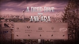 A Deep Dive into ANKARA
