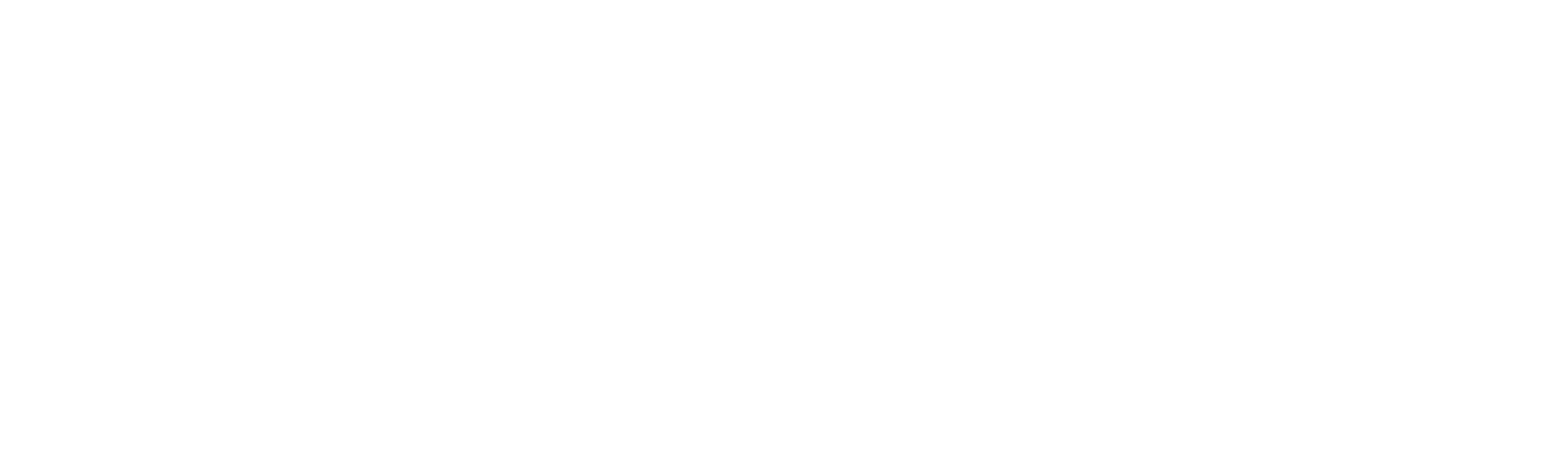 Police Interceptors