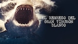 El regreso del gran tiburón blanco