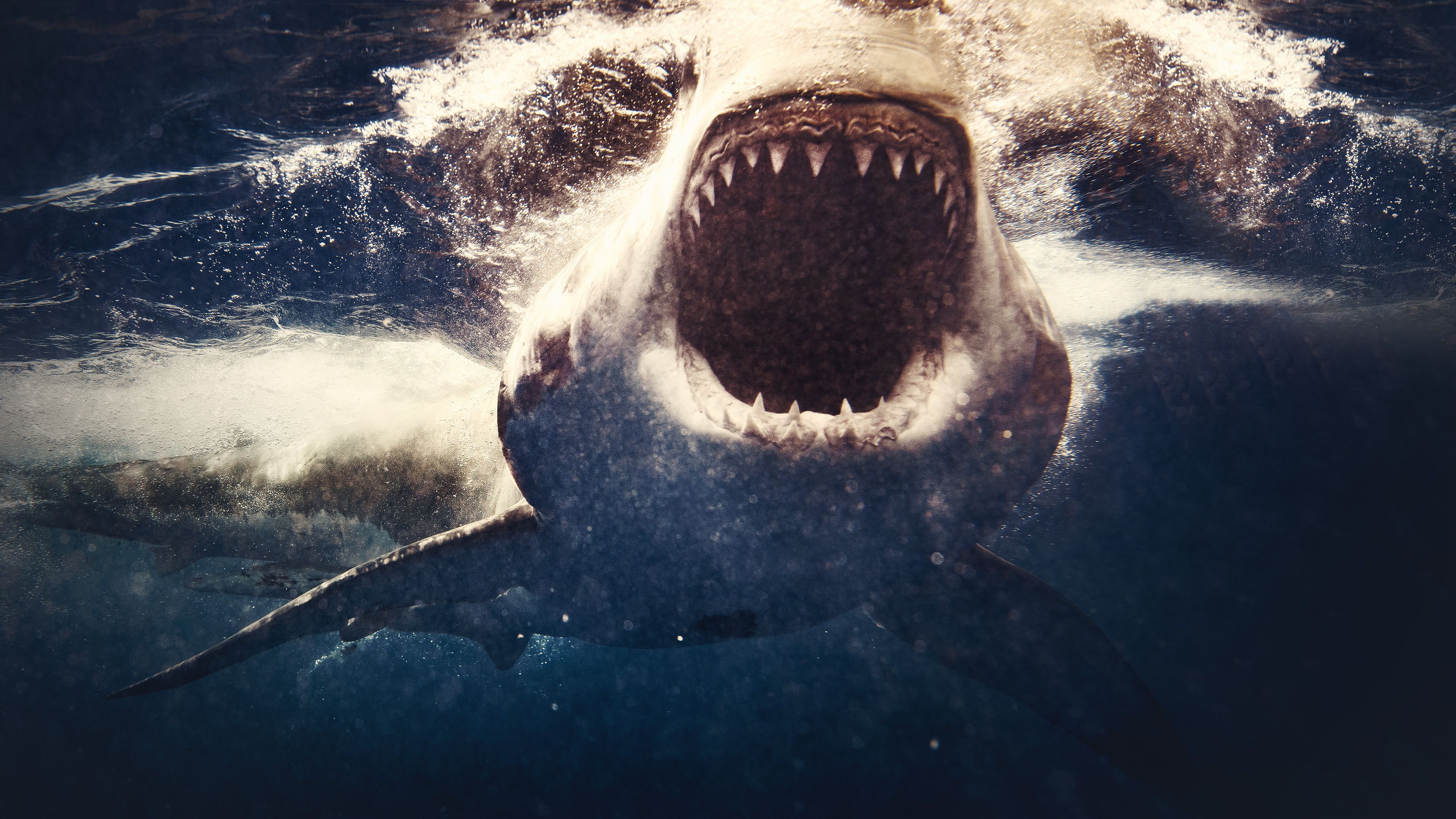 Watch Return of the Great White Serial Killer | HBO Max