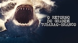 O Retorno do Grande Tubarão-branco