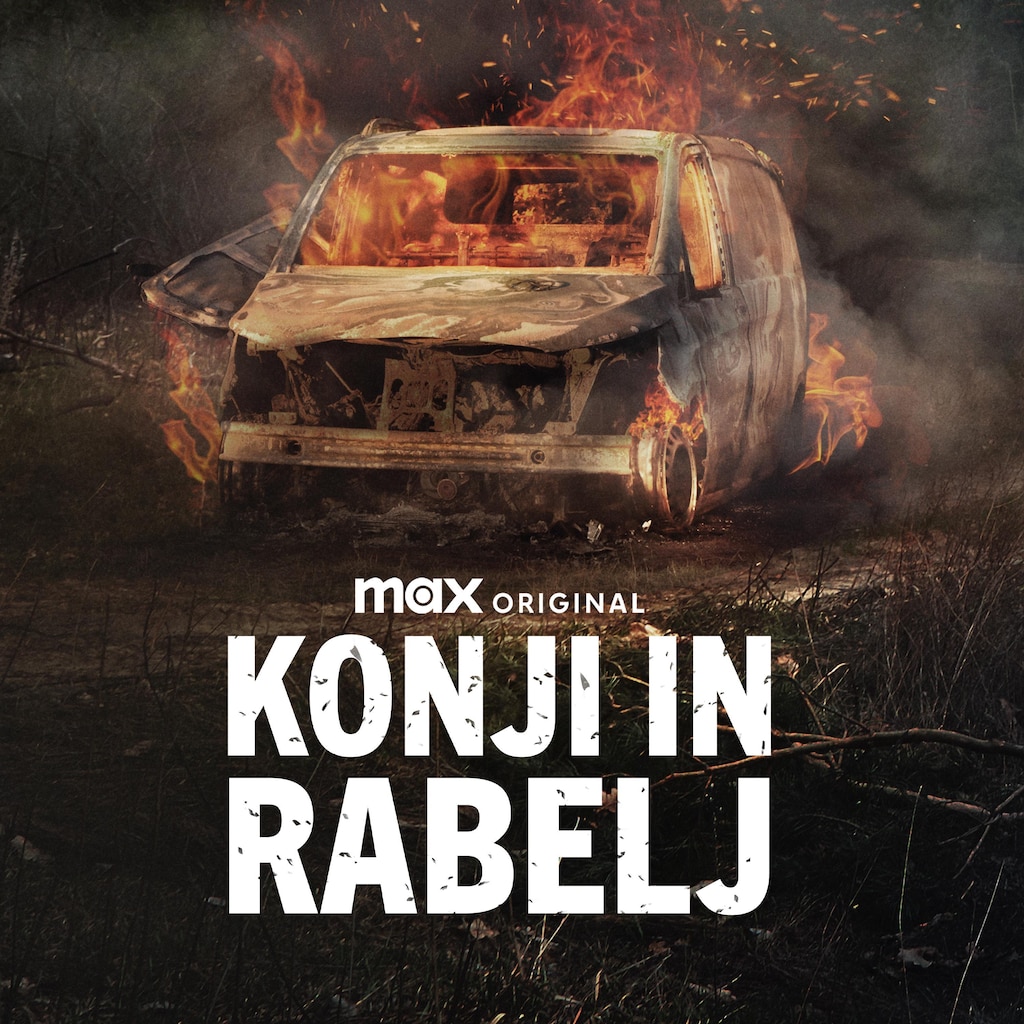 Konji in rabelj