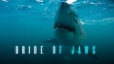 Bride of Jaws