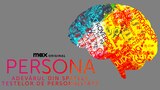 Persona: Adevărul din spatele testelor de personalitate