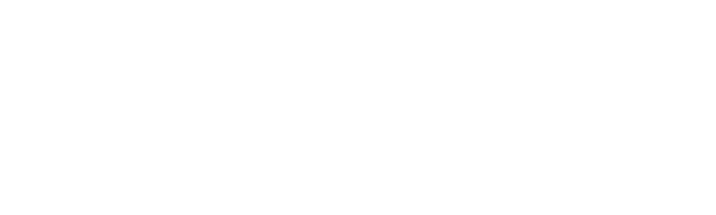 Ghost Brothers: Haunted Houseguests