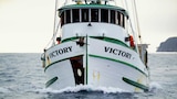 Victory at Sea