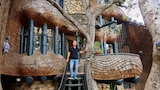 Wild Houses, Assemble!