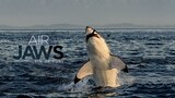 Air Jaws: Fin of Fury
