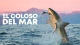 El coloso del mar