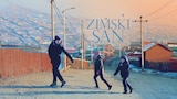 Zimski san