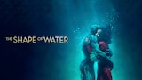 The Shape of Water
