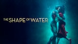 The Shape of Water