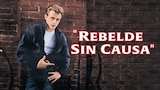 Rebelde sin causa