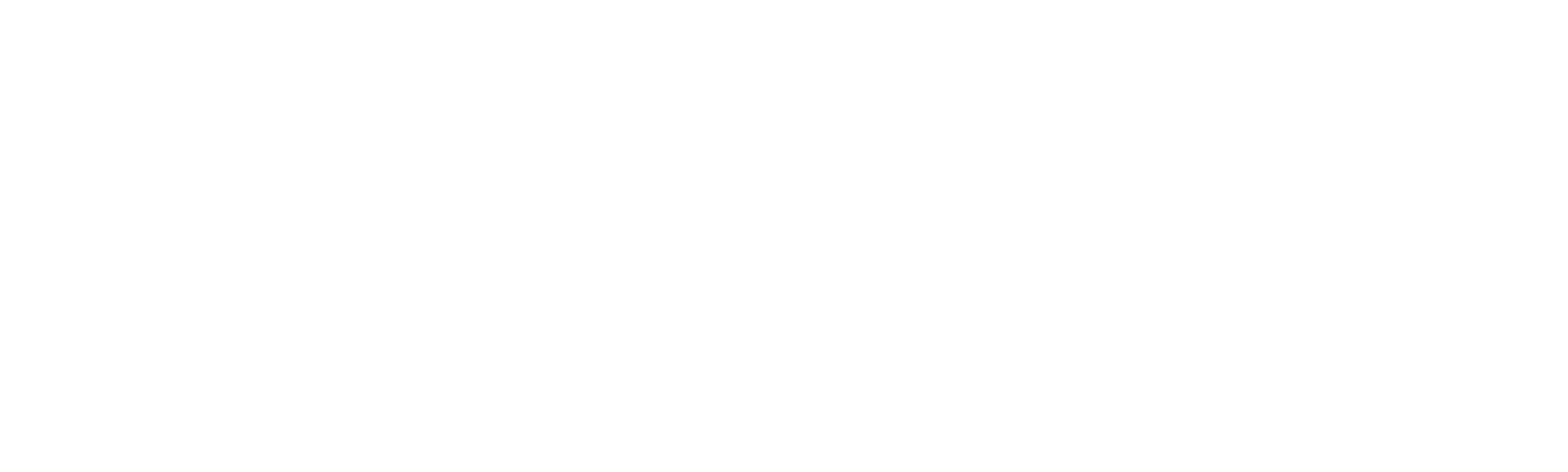 Acompanhante Perfeita