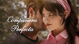 Compañera Perfecta