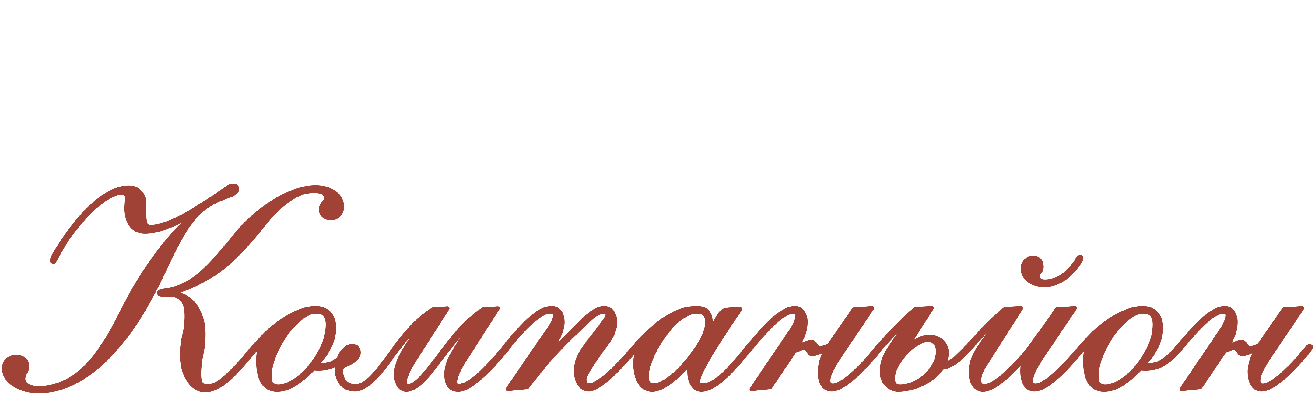 Компаньйон