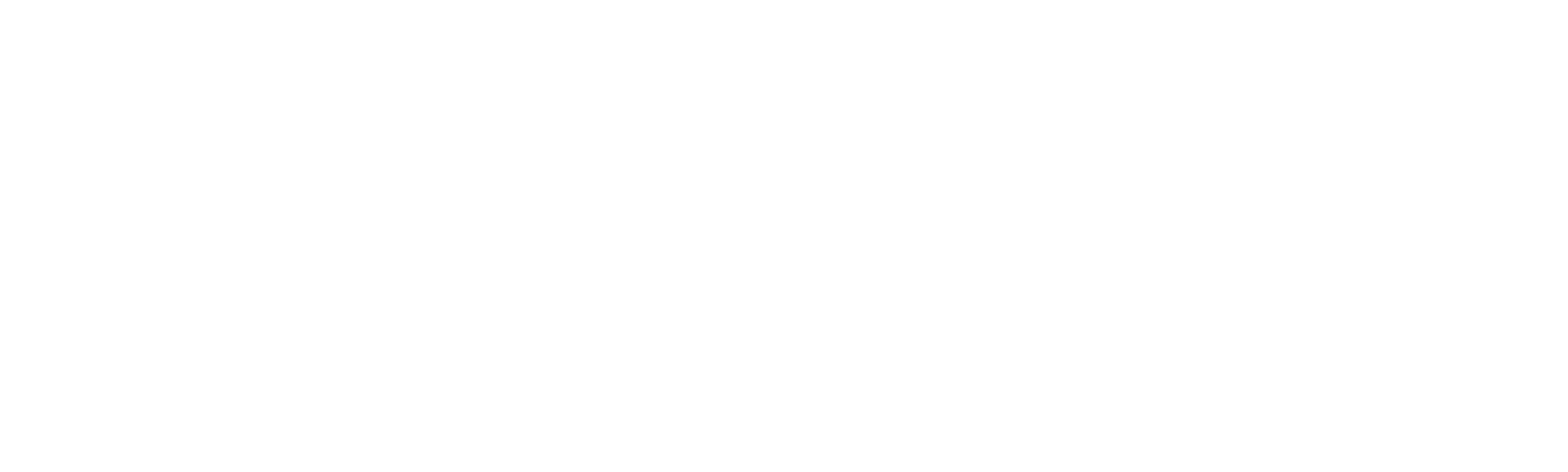 The Lady Vanishes