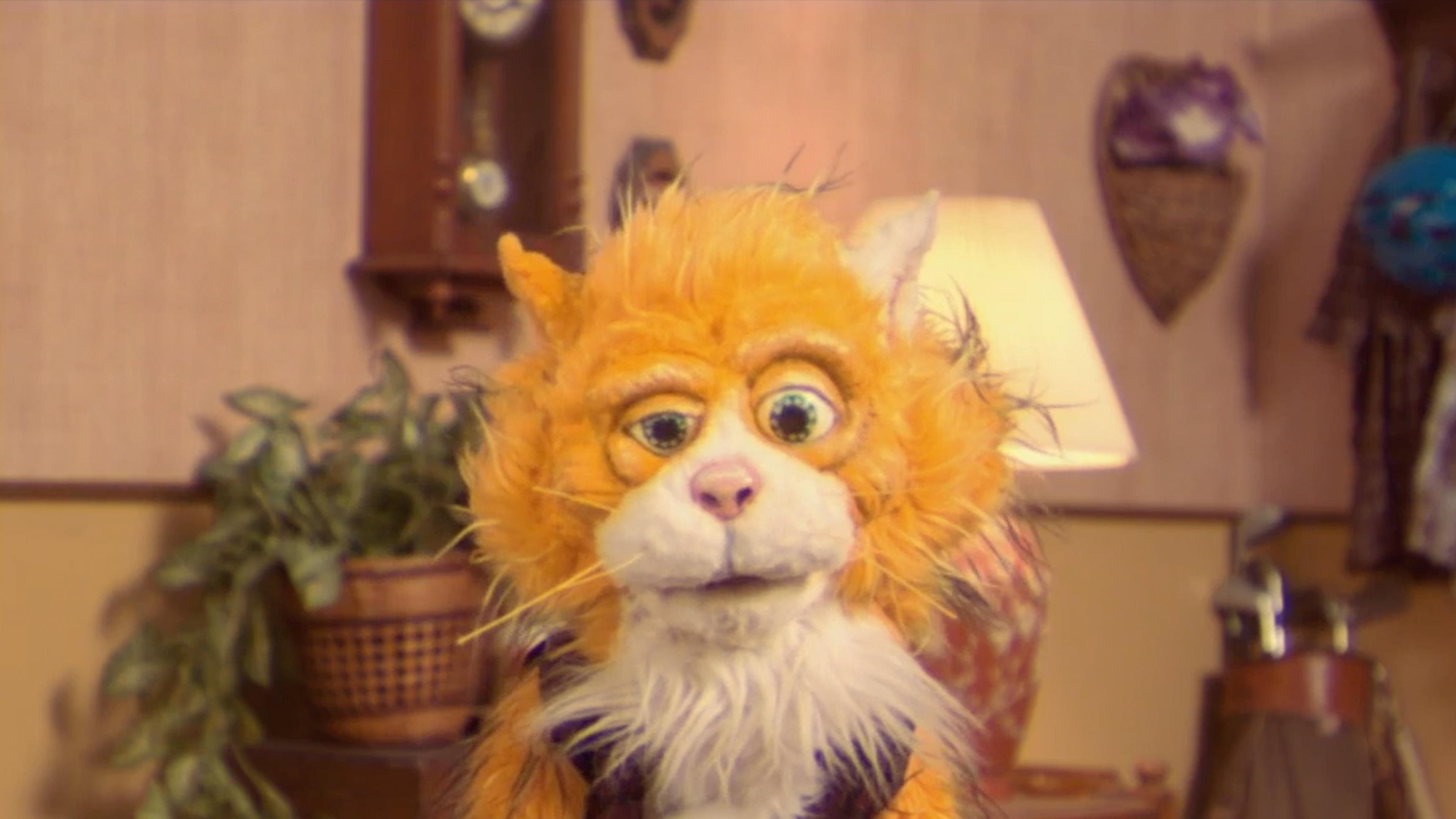 Watch Infomercials Max