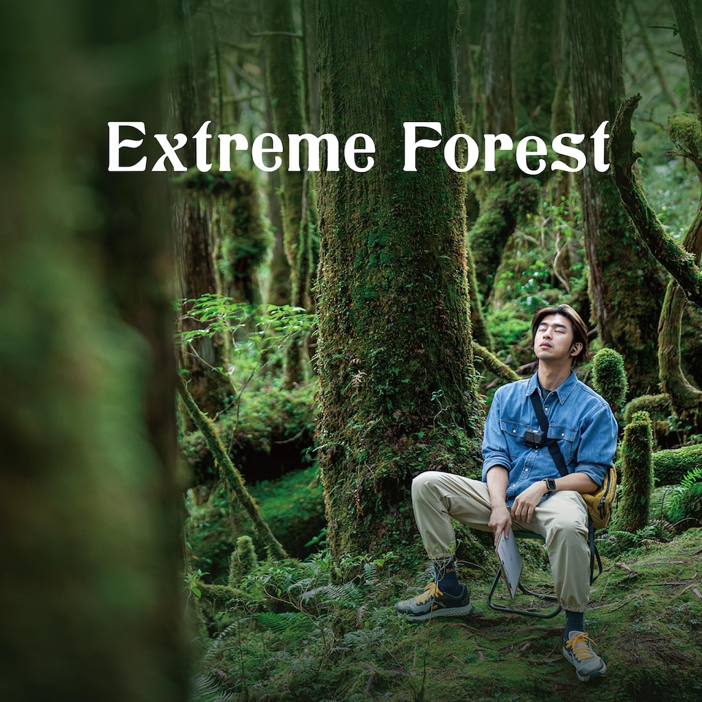 Extreme Forest