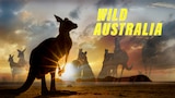 Wild Australia