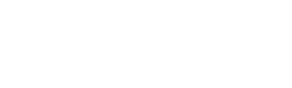 Fever Pitch: The Rise of the Premier League