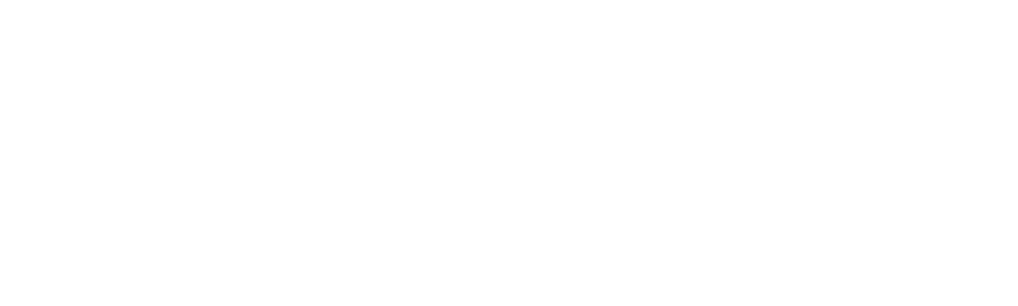 Fever Pitch: The Rise of the Premier League