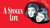 A Stolen Life