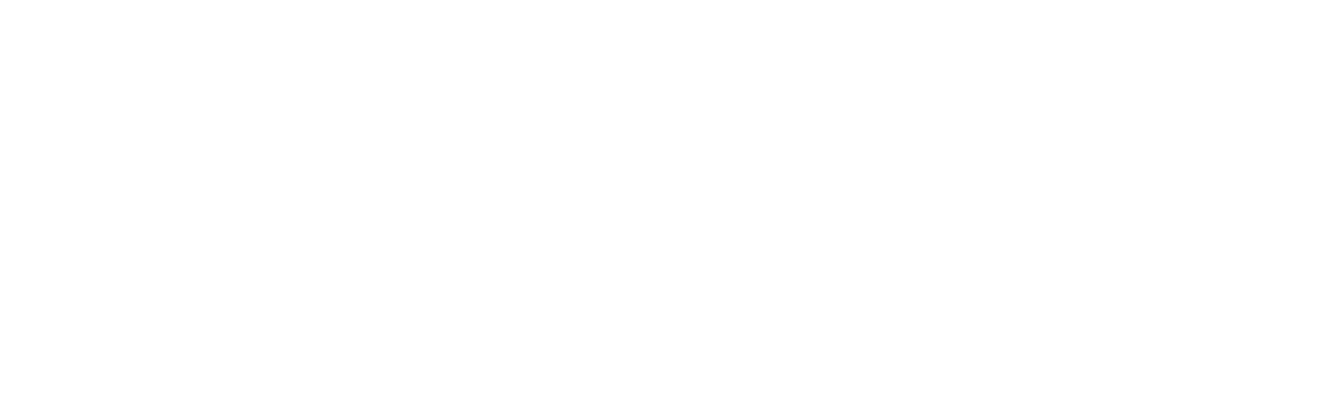 Patti Stanger: The Matchmaker