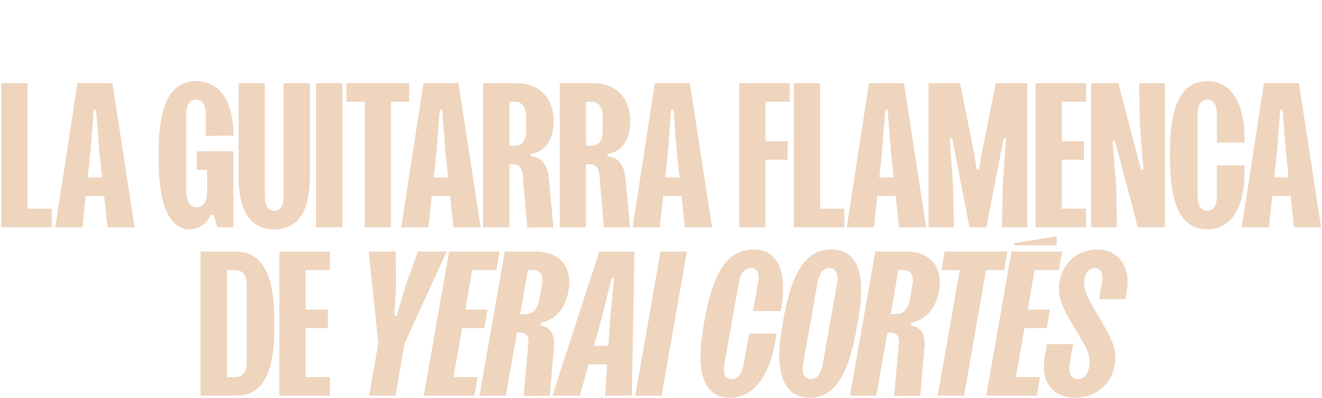 La guitarra flamenca de Yerai Cortés